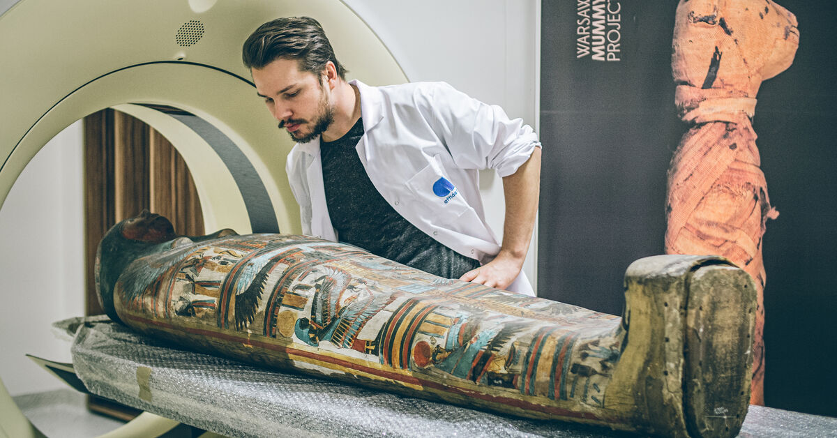 Egypt’s Mysterious Pregnant Mummy Most Likely Died Of Cancer ...